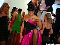 A lot of drunk and hussy chicks go wild on the dance floor. They suck and fuck like crazy. enjoy them all for free in exclusive Tainster porn tube video.