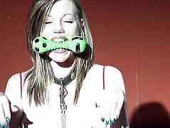 Sky High X-Collection