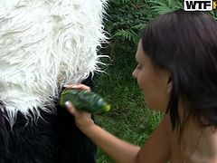 Slutty teen gets nailed by panda bear in outdoor porn session