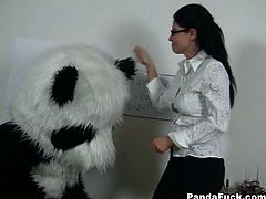 Panda's such a bad student! His teacher is very unhappy, panda didn't even do his homework. After a while the sexy teacher decided to give up maths and teach panda bear another lesson. Her big assortment of kinky sex toys is really impressive, and the filthy chick knows how to use them. However, none of her fun sex toys is as big and arousing as panda bear's huge strapon. After a steamy and fun fucking session the strict teacher is finally happy with her student. Good job, panda bear, fucking A!