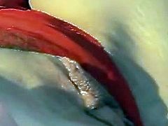 Lynn Lemay slathers phallus close to silky tongue