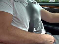 Gorgeous and nasty brunette babe gets seduced and picked up by Manuel Ferrara and gives him a slutty blowjob session in the car while hes driving to his place