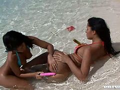 Two nasty dark-haired girls are having fun on a tropic beach. They caress each other on the shore and then pound one another's holes with a cute pink dildo.