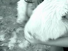 Peppering booty brunette cutie gets aroused by oral stroking her big juicy tits before she gets on a horny dad in pose 69 to welcome a tongue fuck and give blowjob.