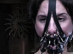 Kinky brunette chick gets chained and then suspended. After that she gets her ass and pussy stuffed with black dildo.