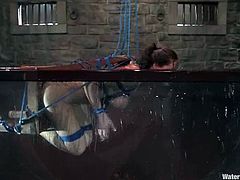 This juicy and slender siren Christina Carter is in a hay with her master. But things are too painful, as this is a BDSM and a water bondage scene.
