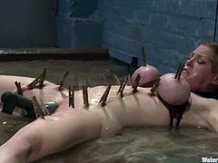 Busty Darling gets her tits twisted with ropes so that they become dark red. Then she gets watered and tortured with clothespins fixed to her body.