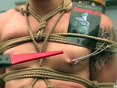 It's public humiliation and banging time for a submissive gay dude who is taken outdoors to the street for a BDSM session with cock torture and more!