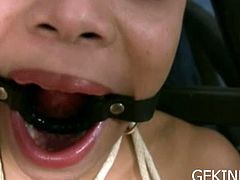 See a sexy brunette belle getting tied up and gagged by her master in this hot bdsm video.