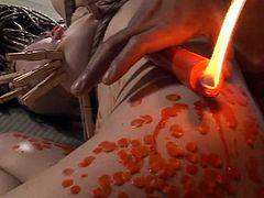 Tongue and body covered in hot wax