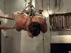 This is the right way to treat a naughty gay cutie, such as Trenton. They've tied and hanged him, inserted a dildo in his anus and one, in his mouth. Now the executors drill him from both ends. Trenton feels overwhelmed and it's just a matter of time, until the guys will squeeze some semen from his hard cock