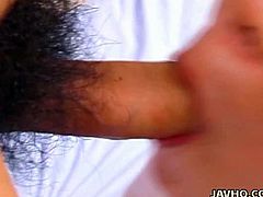 With a finger in her big bush and a tiny dick in her mouth, Asian teen Yuu Aoki is a busy little girl. With his crotch as hairy as hers, it seems like a furry match made in fuck my hairy heaven.