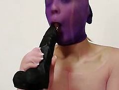 Sweet Cat head to toe in tights