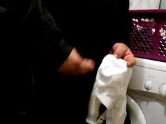 Schwiegermutter BH besamt