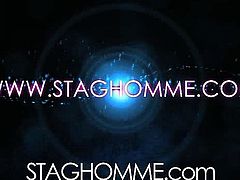 Stag Homme Studios