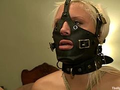 Sexy chicks in stockings and high heels get tied up and gagged with ball gags. Then they get their asses and faces whipped.