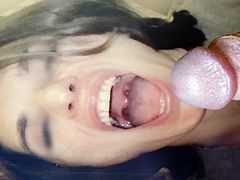 tribute tributelovers