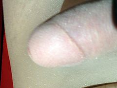 Pantyhose cock