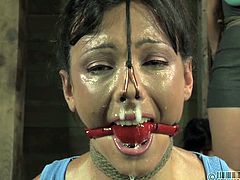 These two cunts are having a bondage experience. They never thought things can be so rough here at Real Time Bondage and now the bitches are facing the reality. One of them is tied on the floor, her nipples are pulled with strings, her mouth is gagged and her nose hooked. Let's see what awaits her and her girlfriend