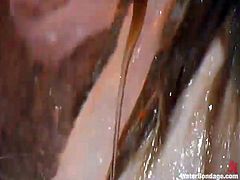 Sexy redheaded milf Madison Young is chained to the wall and then has the hose out on her. Her dominant master sprays her with a powerful stream of water which puts her in pain. She really can't stand the pressure.