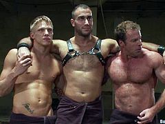 BDSM is what they love doing and they came in there with a purpose to get tortured and fucked by men! That's fucking ridiculous!