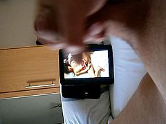 in bed watching videos Hamster