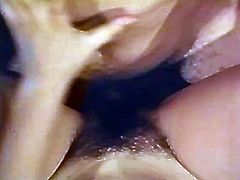 Pretty looking dark haired rapacious chick with small tits swallows monstrous cream stick and her pussy deserves energetic mish style hammering. look at it in The Classic Porn sex clip!