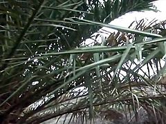 Canary Island raw funtime round Awesome black haired Novice in Point of view