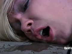 Hard Tied brings you a hell of a free porn video where you can see how the nasty blonde Rain Degrey gets tied up in the dungeon before enduring some intense torture.