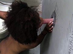 Sexy black chick Ivy Sherwood wearing thong is having fun in a bathroom. She sucks a gloryhole boner ardently and then gets her ebony pussy fucked hard.