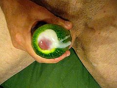 pour vous mesdame une courgette a la creme