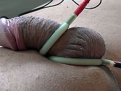 electro estim: rings-very-short