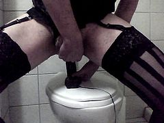 lauren rides dildo on toilet till she cums