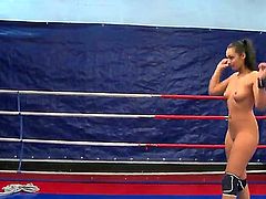 Forget about all other things and start having fun with Lexy Little and Lioness. Magnetic hotties are wrestling on a boxing ring in this extremely hot video clip.