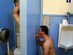 Two faggots are getting gay in the toilet