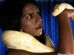 Kuchipudi -the rising of the serpent