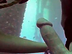 This couple love to experiment when it comes to sex. This time they fuck under water. The girl in a diving equipment blows a dick and also gets fucked in a cowgirl pose.