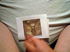 my tribute to zorrozx