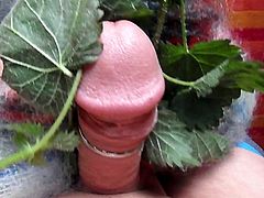 Stinning Nettles and Mohair  Masturbation 3