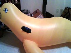 inflatable Walrus Loving