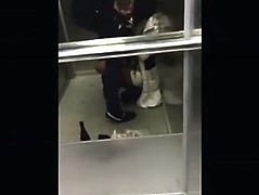 Teen Sucks Cock In An Elevator