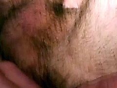 Hairy bear duo sucking cock close up