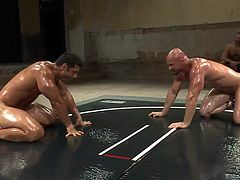 They are big, muscled and tensed. These men should use a hard fuck instead of such a hard fight but they will get one for sure. After giving their best it's clear which one is superior so the bald guy kneels in front of his conqueror and sucks his cock like a submissive slut. He loves it!