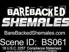 Unforgettable Bareback Fucking With Shemale