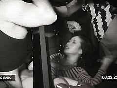 Alina Li is in heaven blowing guys erect fuck stick