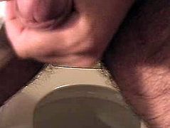 toilet cum show