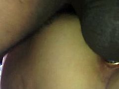 Creampie Rose bud and breeded by a black confirmed 3 weeks