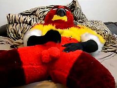 fursuit bird wanking