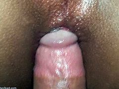 Lady Boys Fucked Bareback brings you a hell of a free porn video where you can see how this Asian brunette shemale gets her ass banged hard into a massive anal orgasm.