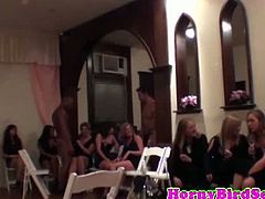 RK brings you a hell of a free porn video where you can see how
this vicious amateur sluts suck cock at a party while assuming very interesting positions.
